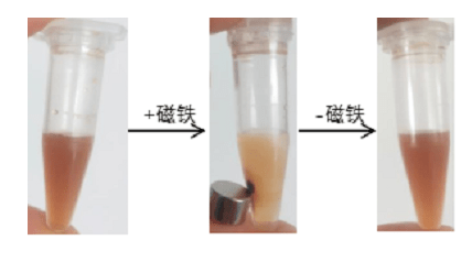 磁性高分子微球粒徑和Zeta電位測(cè)試